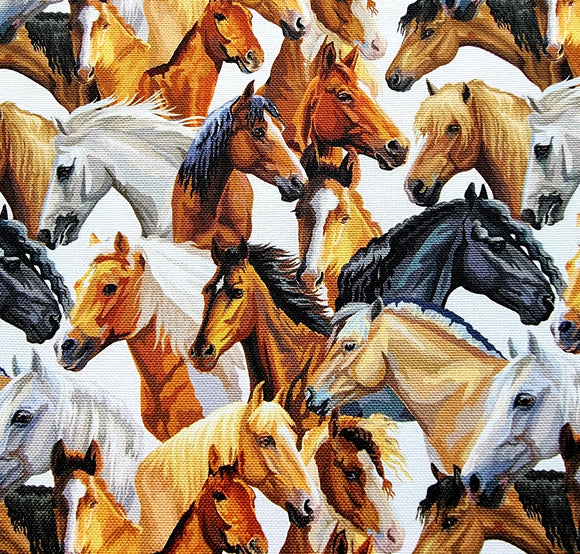 Cotton Canvas Fabric - Cute Multicoloured Horse Print