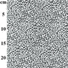 Animal Print Fabric - Black & White Small Animal Print - 100% Cotton Fabric