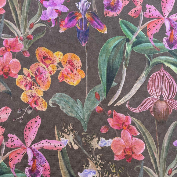 Cotton Canvas Fabric - Iris Floral on Mocha Brown