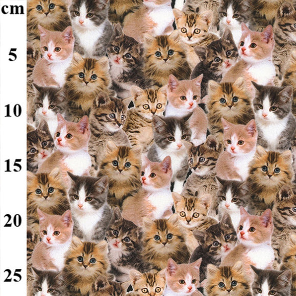 Cotton Canvas Fabric - Cute Multicoloured Cat Print