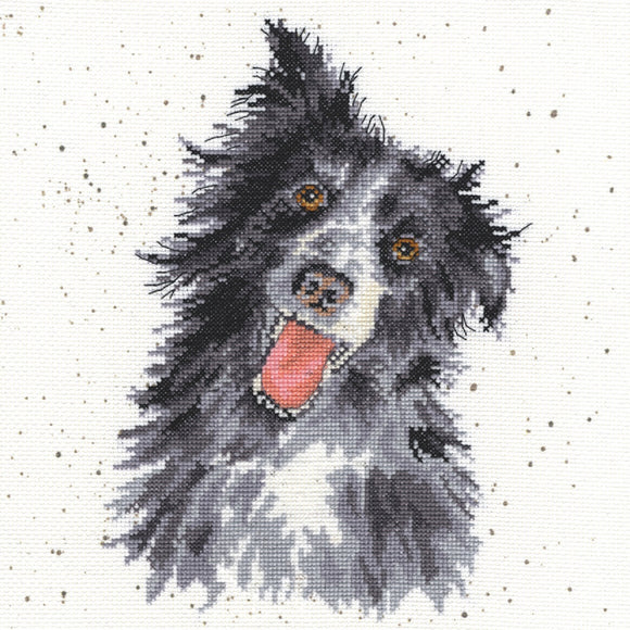 Bothy Threads Cross Stitch Kit - Collie - Gorgeous Dog Design -Wrendale Designs by Hannah Dale