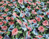 Cotton Lawn Fabric - Water Floral Pink & Blue Flower Print