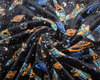 Cuddle Fleece Fabric - Space Age Print