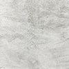 Super Soft Luxury Plush Faux Fur Fabric - Silver Fox