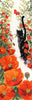 Bothy Threads - Counted Cross Stitch Kit - Follow Me 3 - Black Cat