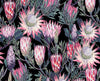 Cotton Fabric - Floral Print - Pink & Purple Protea Flowers on Black